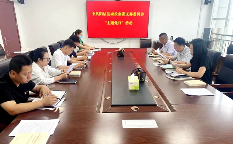 黨建引領(lǐng) 【筑牢思想防線 維護國家政治安全】陽信縣城投集團組織召開主題黨日活動
