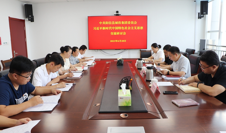 黨建引領(lǐng)，主題教育 縣城投集團黨支部組織召開學(xué)習(xí)貫徹習(xí)近平新時代中國特色社會主義思想主題教育理論學(xué)習(xí)交流研討會